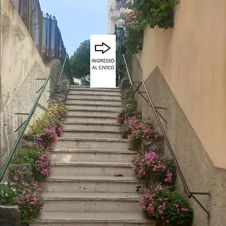 Casaluisa *