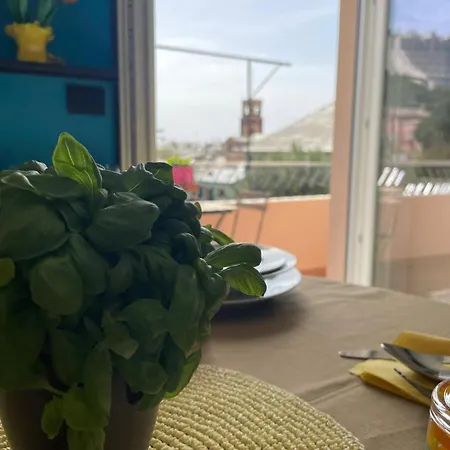Casaluisa *