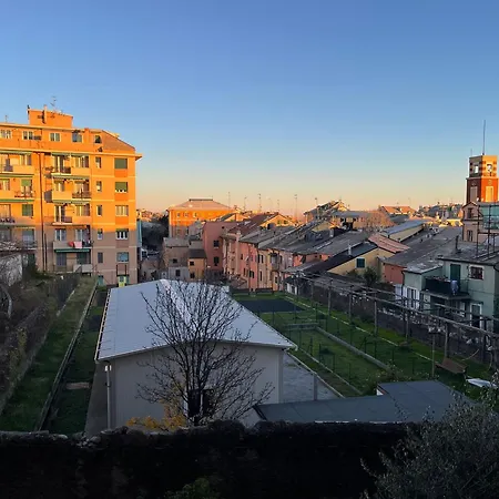 Casaluisa