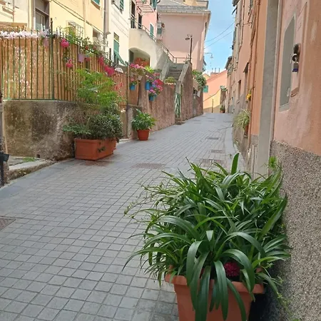 Casaluisa Cenova